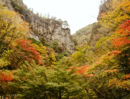 神戸岩の紅葉